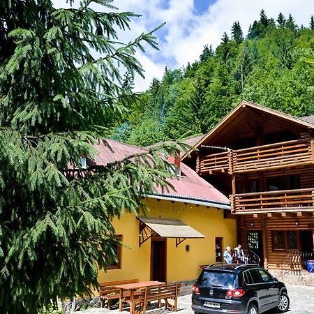 Cabana Bradul Rodna エクステリア 写真