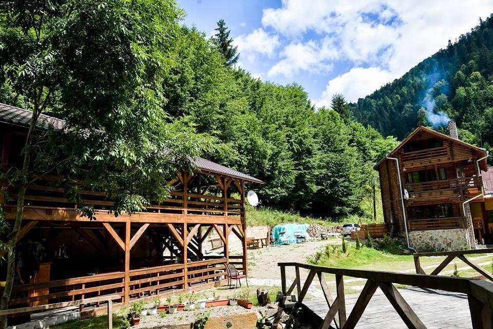 Cabana Bradul Rodna エクステリア 写真